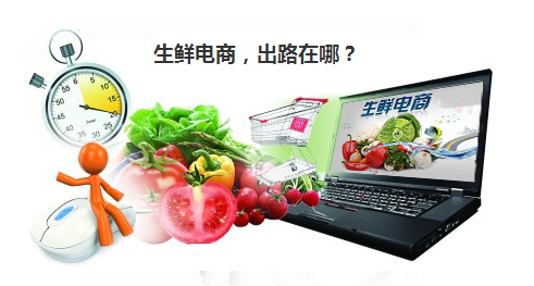 生鮮電商出路在哪